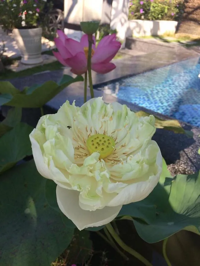 Ocean View Hotel Nha Trang 0*,